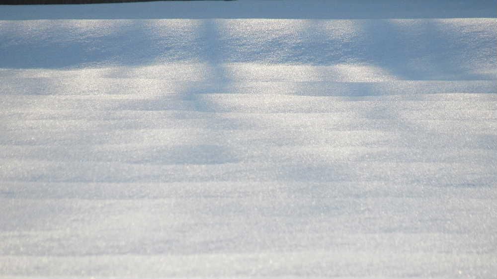 昨日の穏やかな天候に誘われて烏帽子山公園に上りました　街の中をソチコチと道草を食いながらの散歩でしたが雪の解けた土手にも草花の新芽を見つけることができませんでした　まだ２月の中旬です　春までもう一息です　夕暮れの太陽を背に受け木々の影が雪原に映し出されています