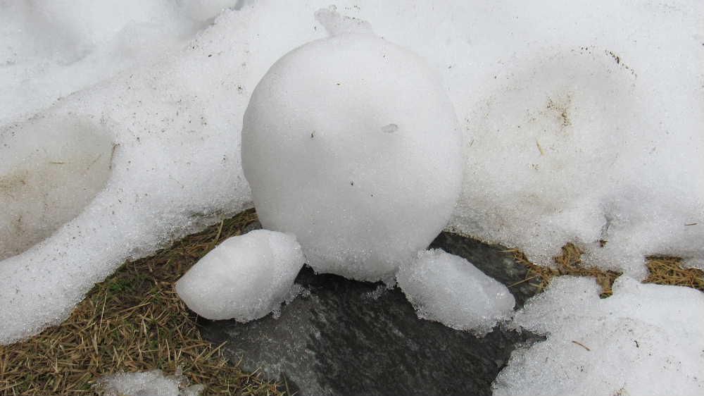 昨日の朝は東京の孫が残していった雪だるまが解けかかっていますしたが今朝は跡形もなくなくなってしまいました　朝から良い天気です　雪解けが進み春の兆しがかんじられるようになりました　２月も残りわずかです　春がそこまでやってきています