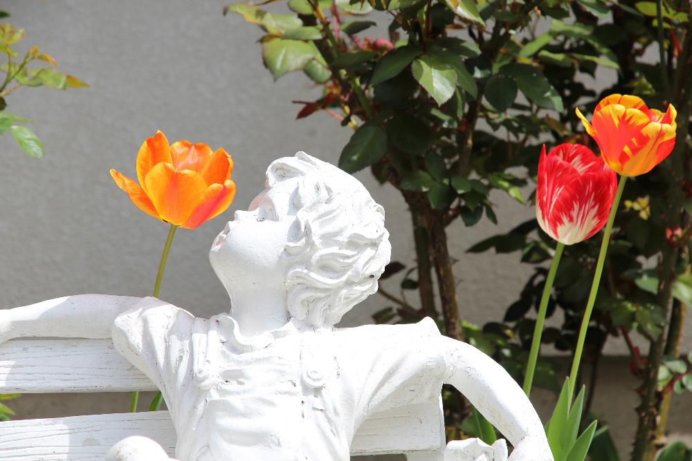 チューリップにキッス　そちこちの庭にチューリップが今を盛りと咲いています　我が家のチューリップも日中暑くなると花びらを広げて咲いています　花壇のそばに置いてある古～い人形がチューリップにキッスをしているように咲いていました　面白い構図なので思わず一枚撮りました　孫たちが小さいときに並んで写真を撮った懐かしい人形です