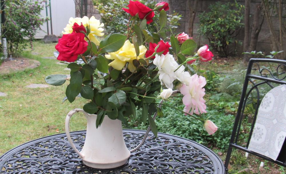 庭のバラがいよいよ今年も終わりに近づいてきました　四季咲きのバラがパラパラと咲いています　花を切り落とし剪定をしてささやかに雪囲いをしてあげなければならない時期となりました　切ったバラがもったいないので水差しに差し込んでおきました　花たちに今年もありがとうとお礼を言葉をかけたくなりました　そんな季節になりました