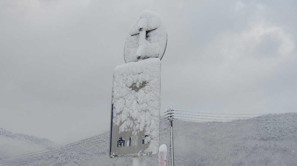 チラチラと雪が降っています あまり雪のないが続いていてホッとしています 西側を向いている道路標識が雪よくえ詠めませんが間もなく解けて文字が現れてきます 近所の期にはクリスマスツリーのようにふんわりと雪が積っています この雪も解けて落ちるのでしょう いつになったら花の便りをとどけられるのでしょうか