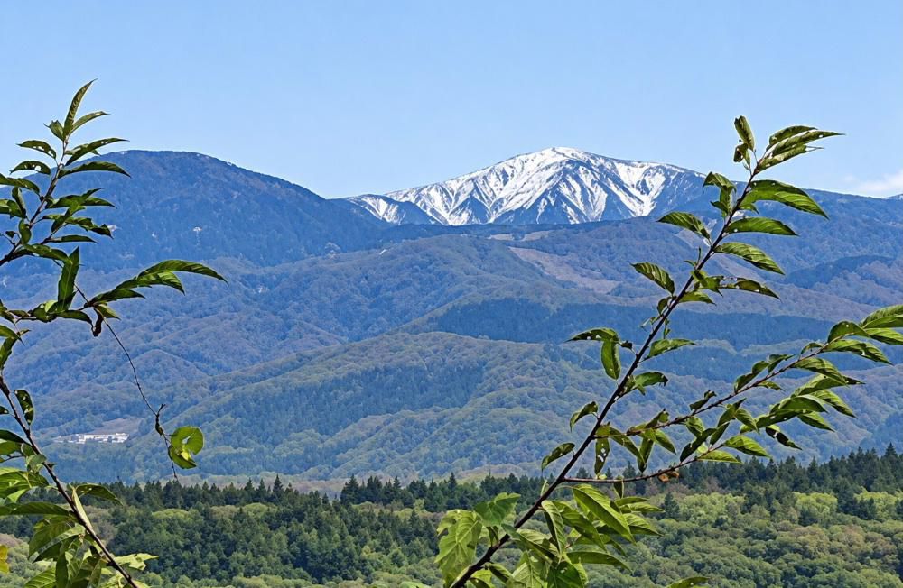 蔵王山にも初冠雪です 良い天気に誘われて斎藤茂吉記念館を見てきました 記念館の周りも少し黄色みをおび記念館から見渡せる蔵王の山が雪をいだきいよいよ冬の訪れを感じました 平地ではまだまだ紅葉には時間がかかりそうで記念館の周りの木々の紅葉はまだまだですがこの寒さで一気に紅葉が進むのでしょうか 2028年4月からのNHK朝ドラは斎藤茂吉の妻の斎藤輝子が主人公となることが発表されています どんなドラマになるのか期待をしています