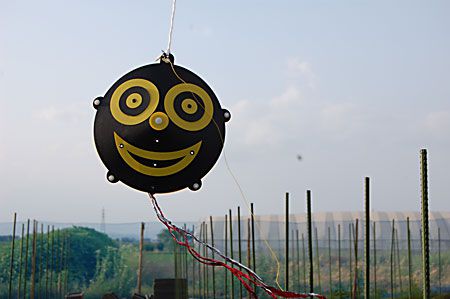 カラス対策　効果は？