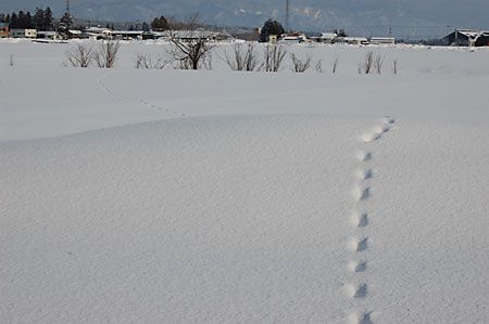 あしあと