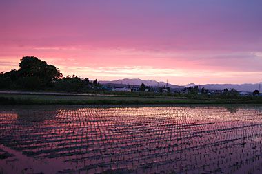 夕焼け