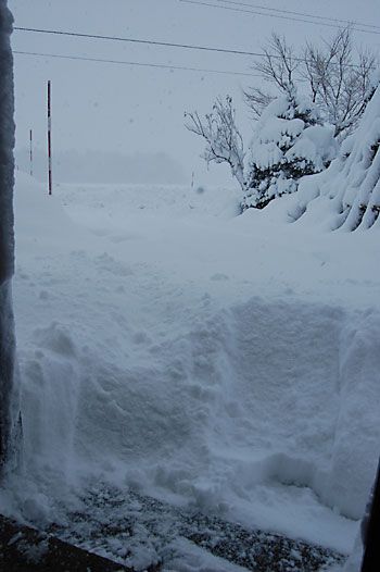 正月の雪