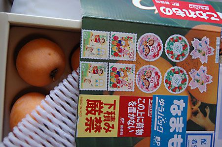 カラフル荷物