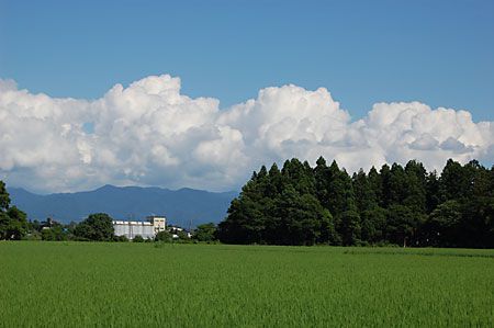 暑かったね
