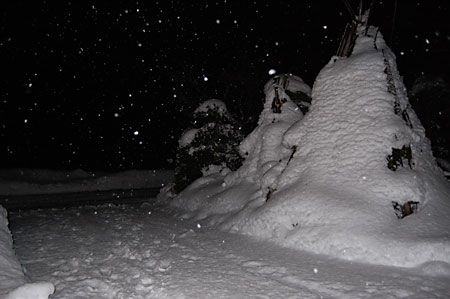 今日も雪
