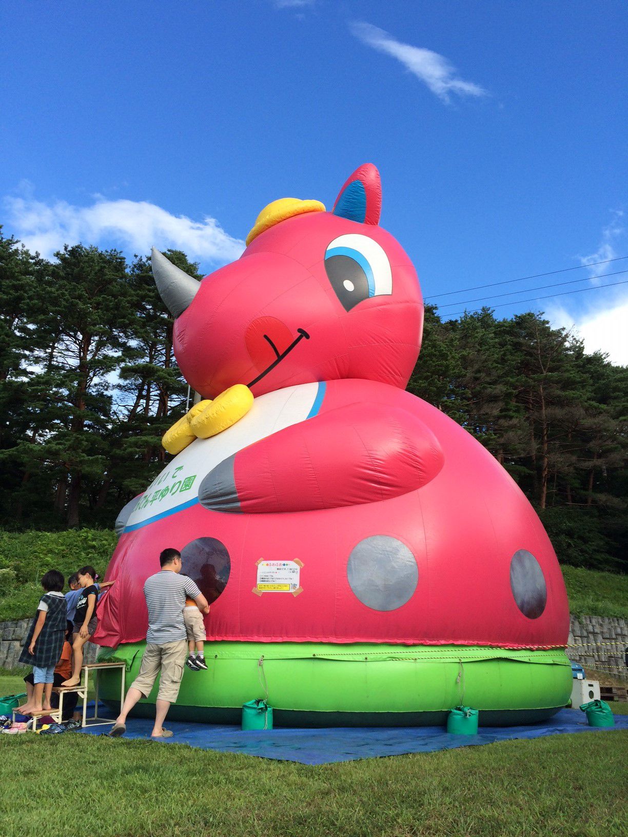 本日より道の駅いいでめざみの里観光物産館にて