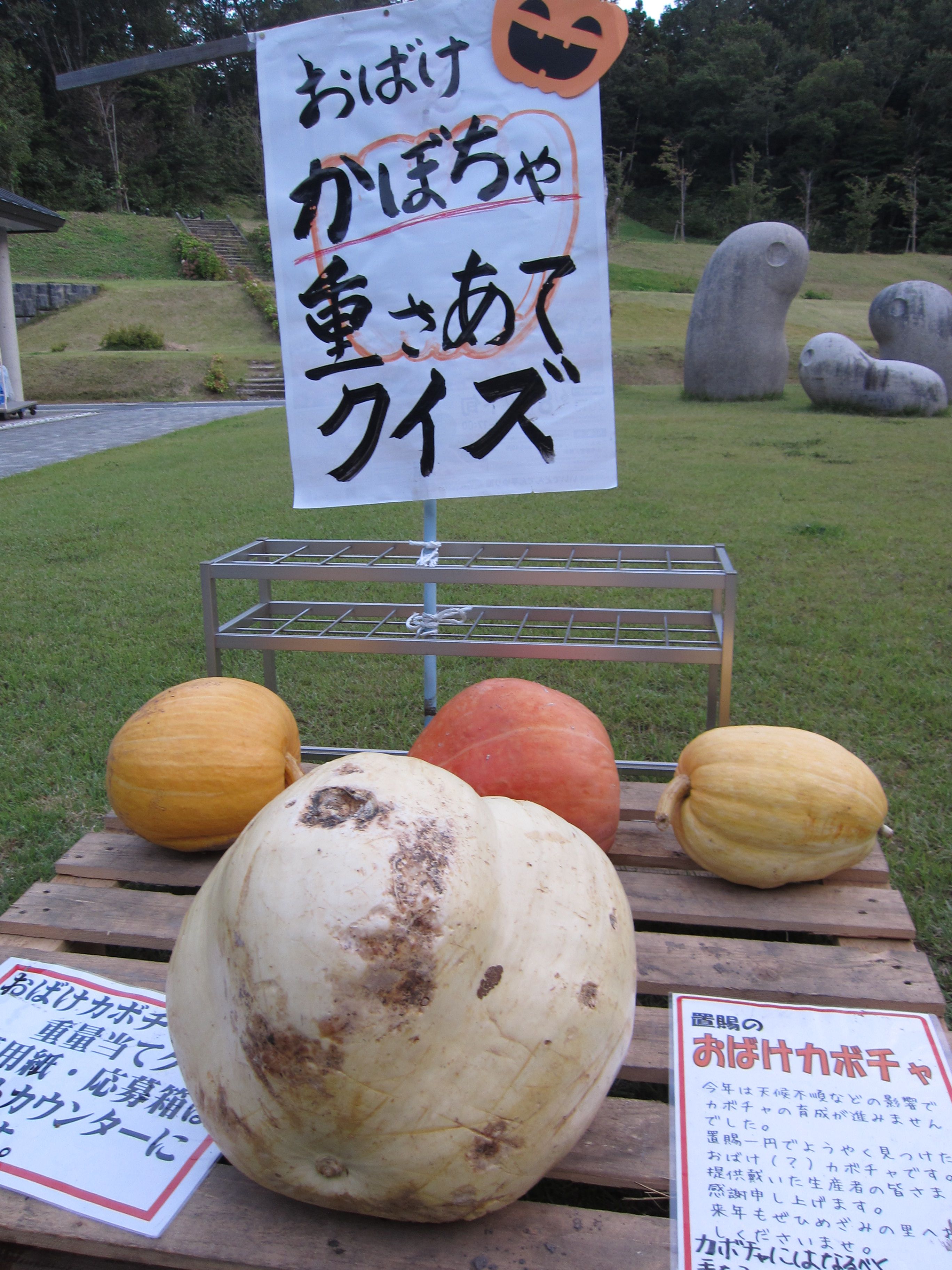 おばけカボチャ重量当てクイズ　正解の発表
