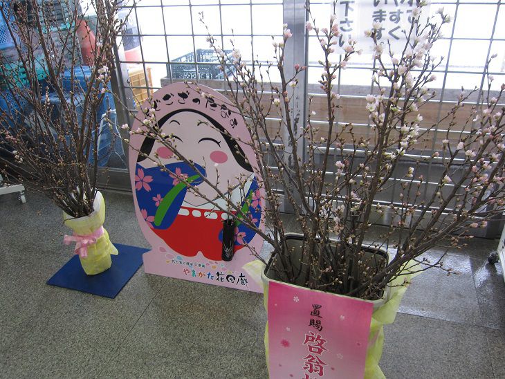 春はまだまだ先ですが・・・