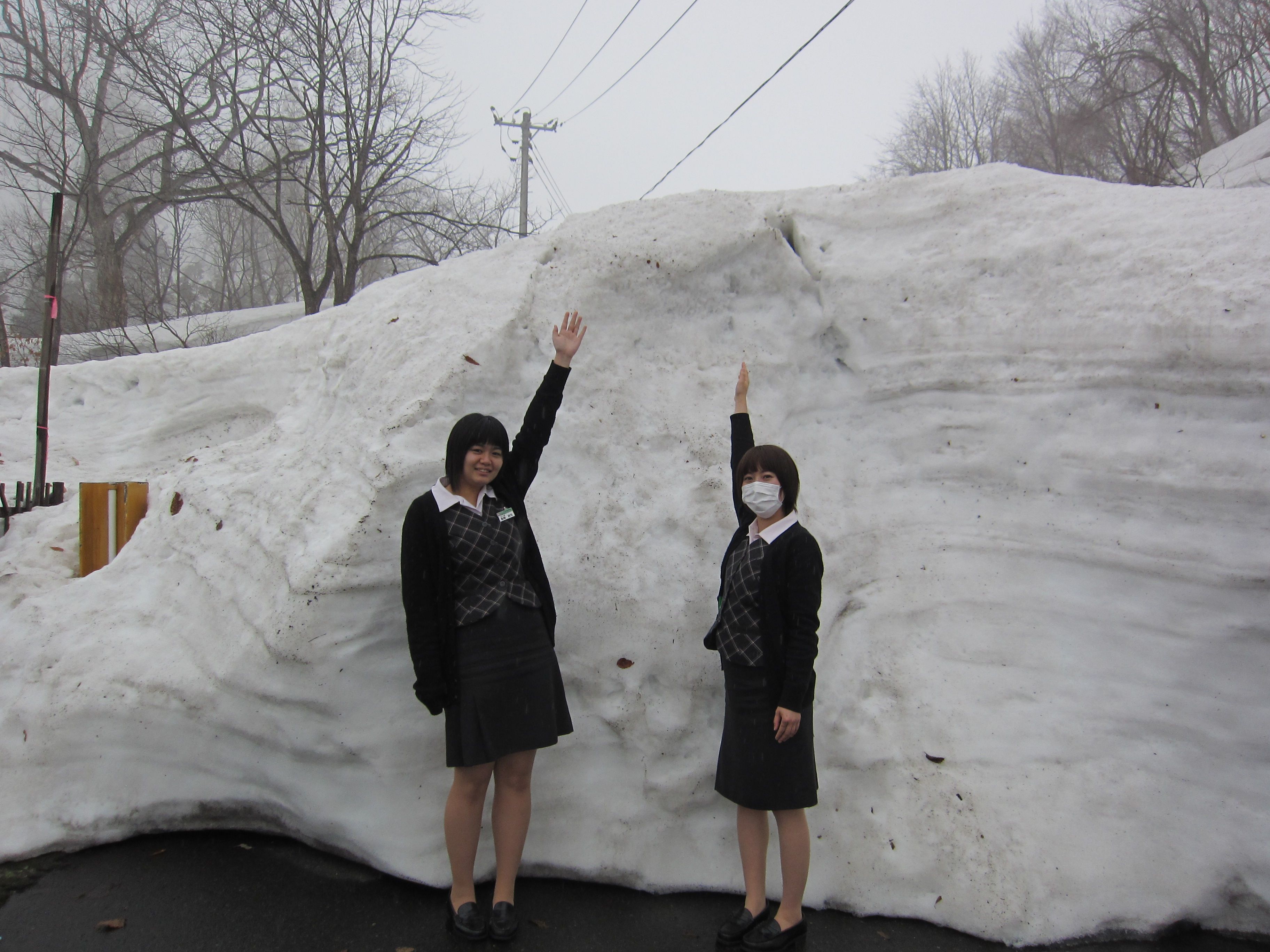 毎年恒例≪わらび園入口積雪調査≫