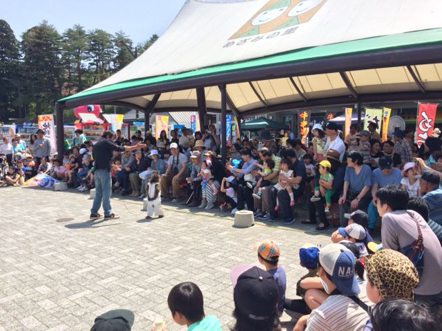 本日３日限定イベントのモンキーパフォーマンスショーです！