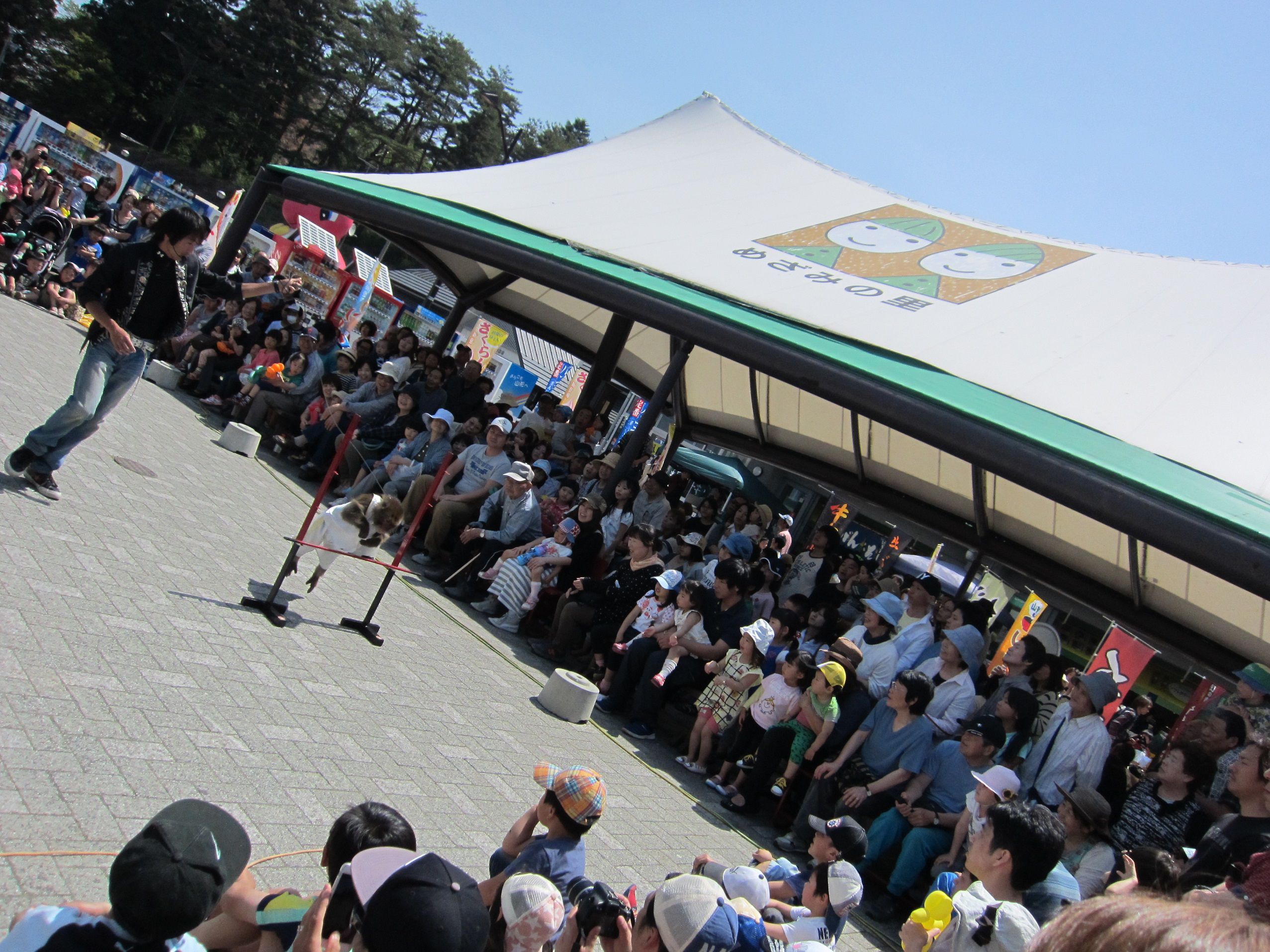 「めざみ祭GW２０１５」無事に終了しました