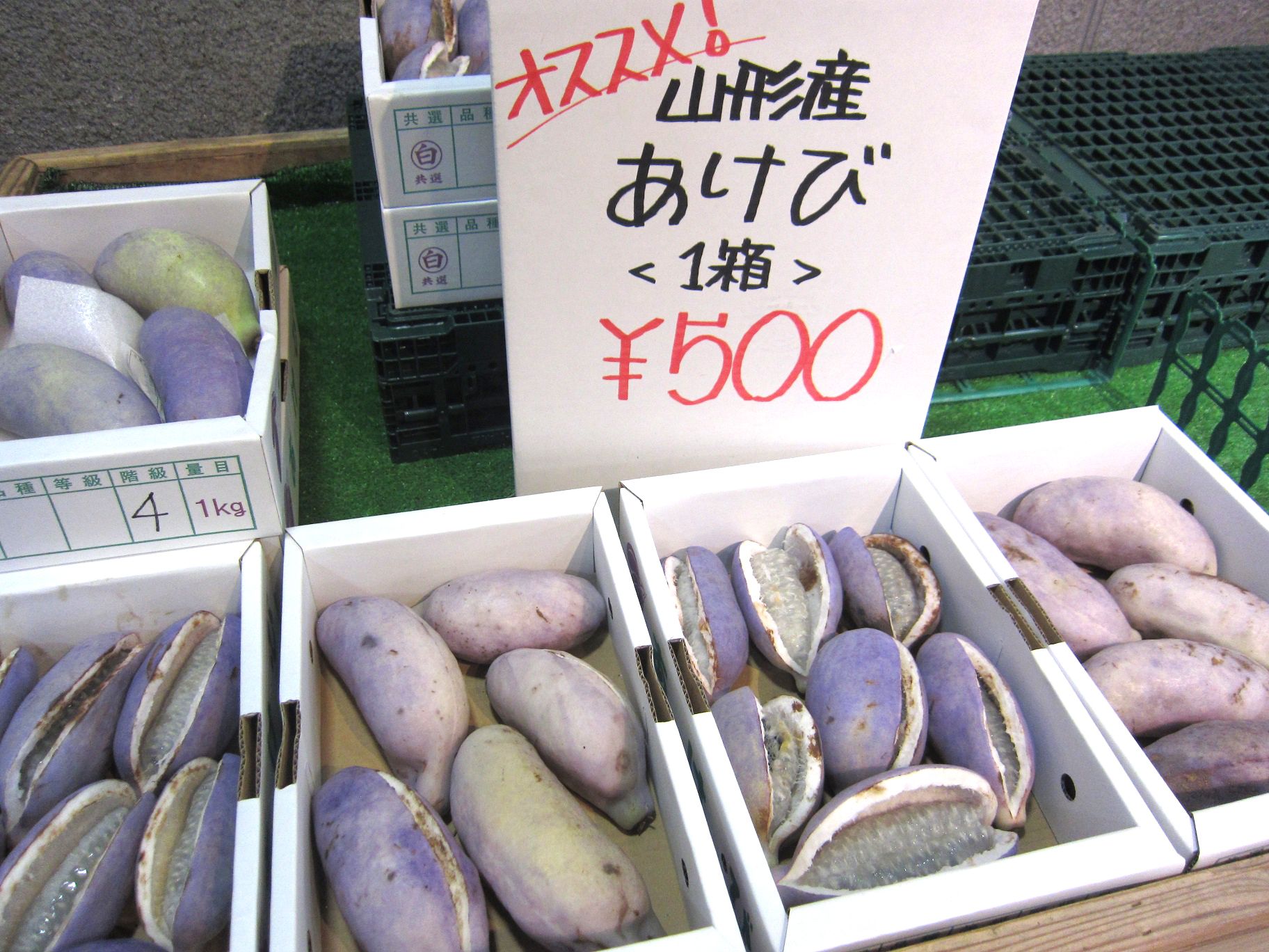 秋と言えば・・・あけび！