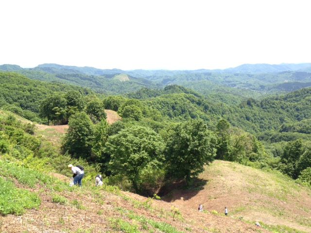 平成２８年度　ひかばわらび園！