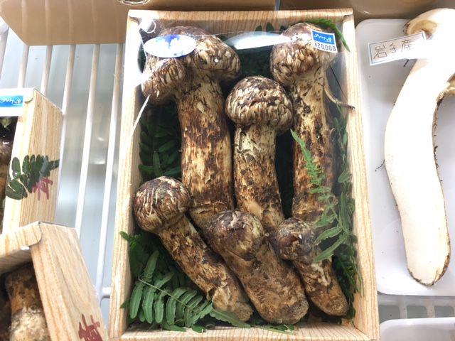 山形県内産　まつたけ　入荷しました！