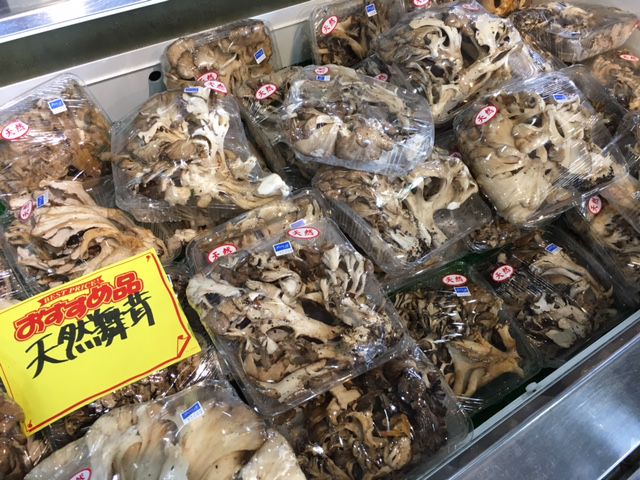 天然舞茸も入荷！