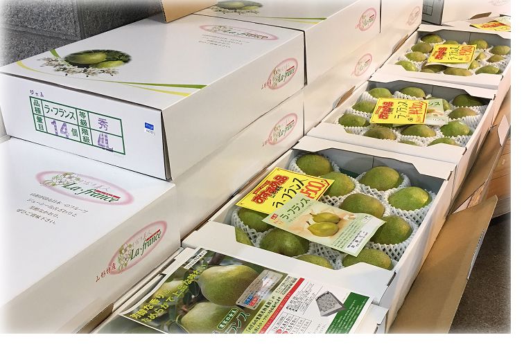 山形　果実の女王！　ラフランス！　販売開始です！