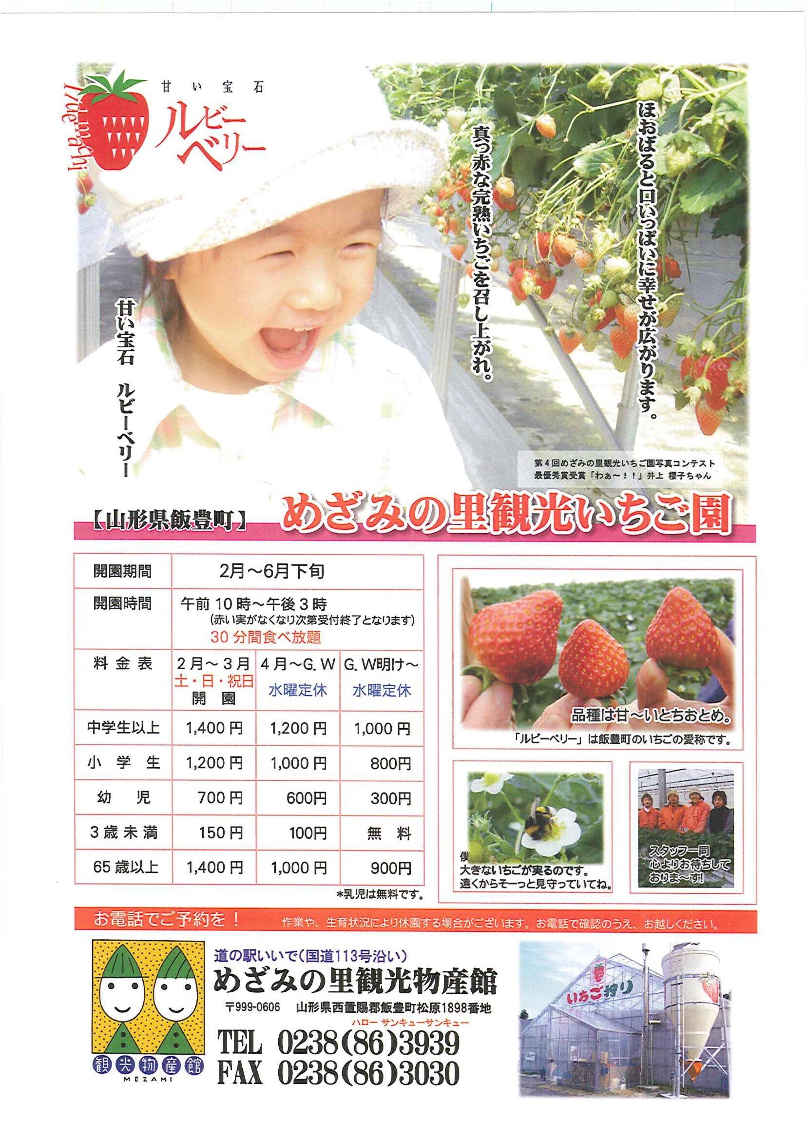 【要予約】今年のいちご園！