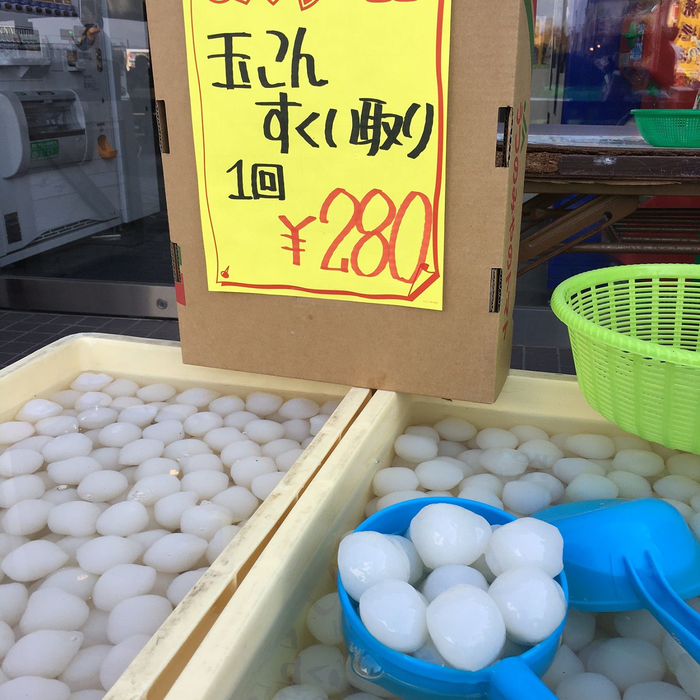 本日より
