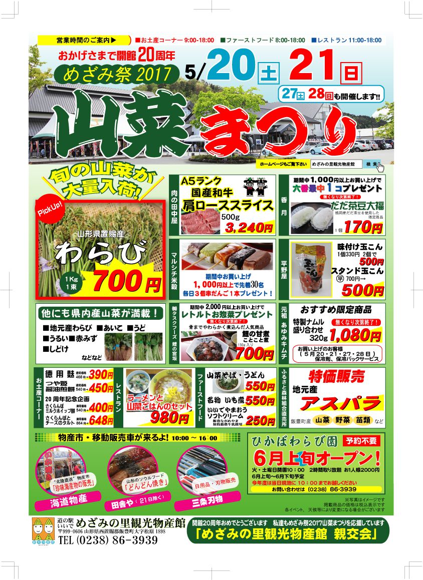 今年も山菜！！