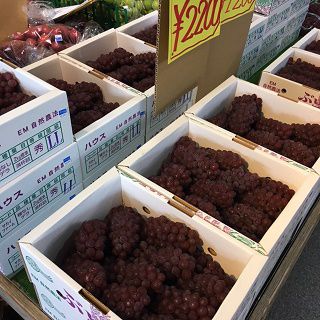 ぶどう！　スイカ！　メロン！