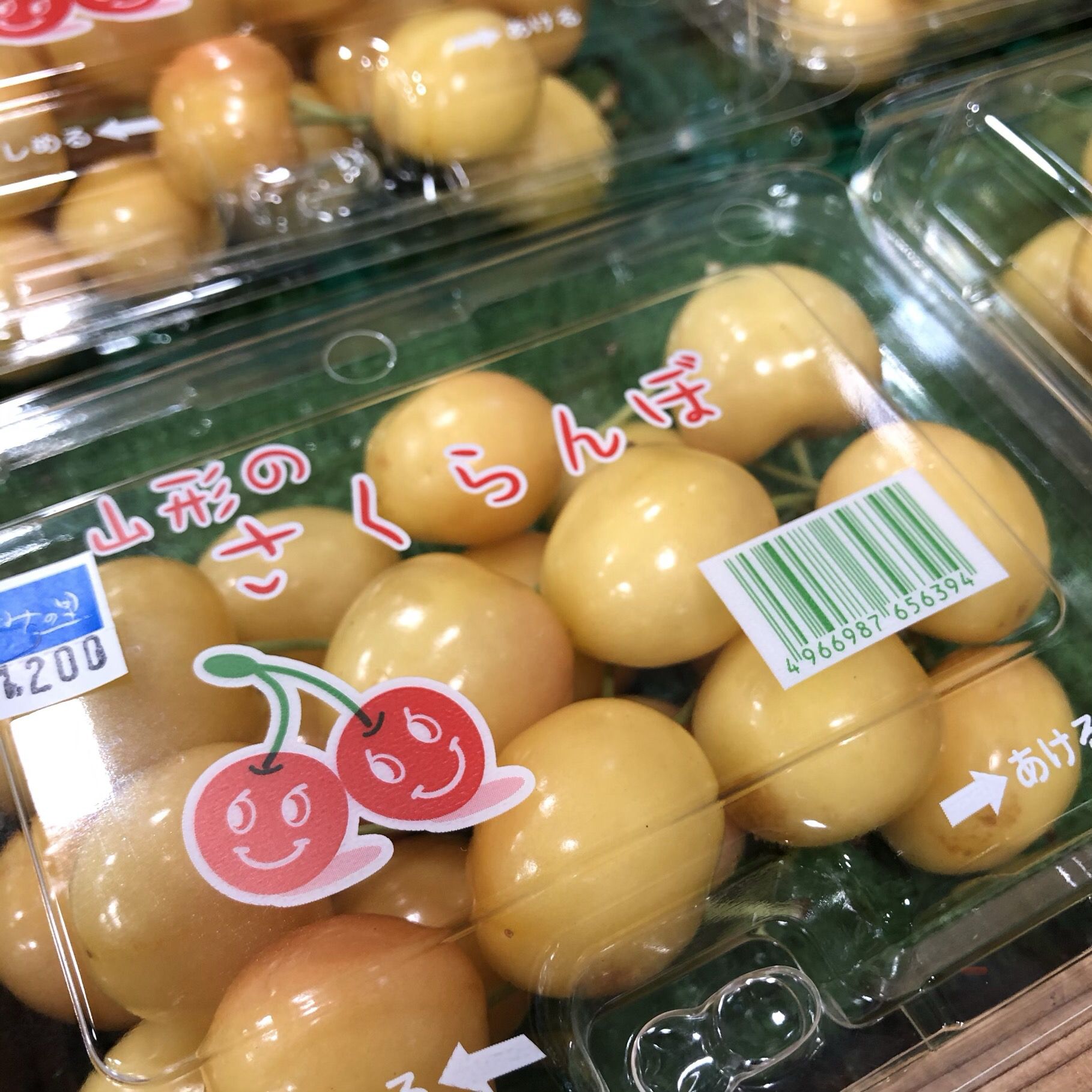 山形　さくらんぼ ！