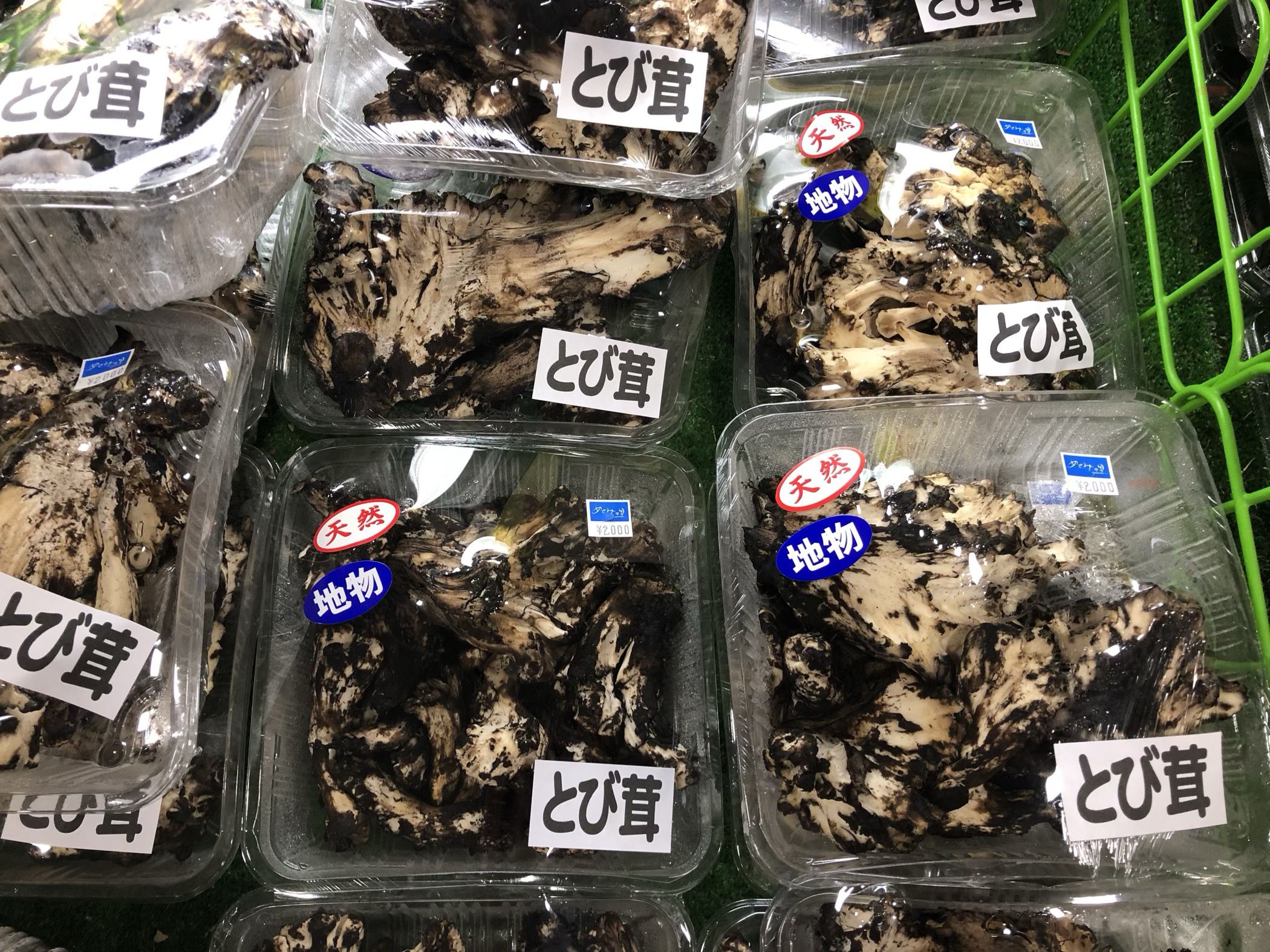 とび茸