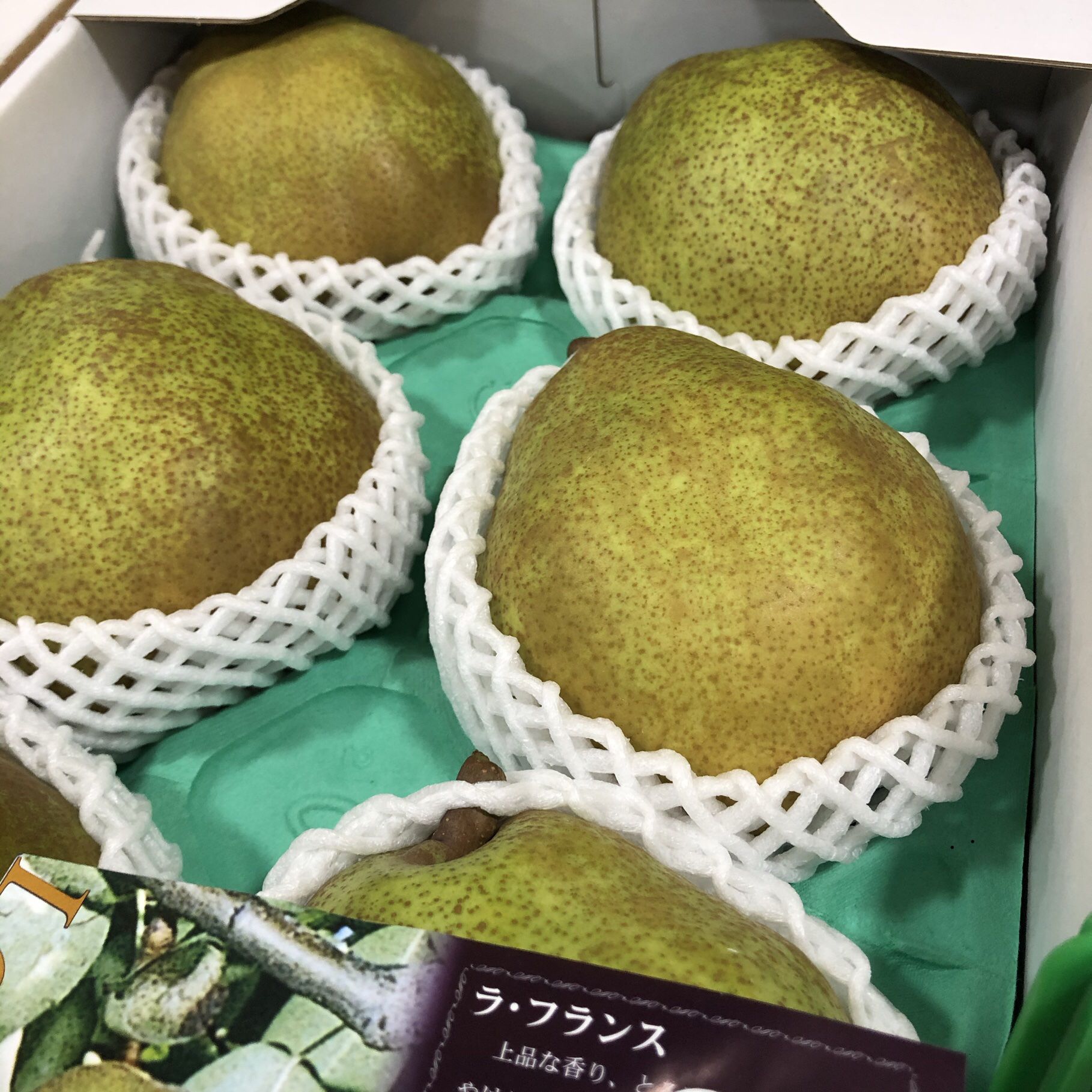 本日2020年10月29日よりラフランス ！
