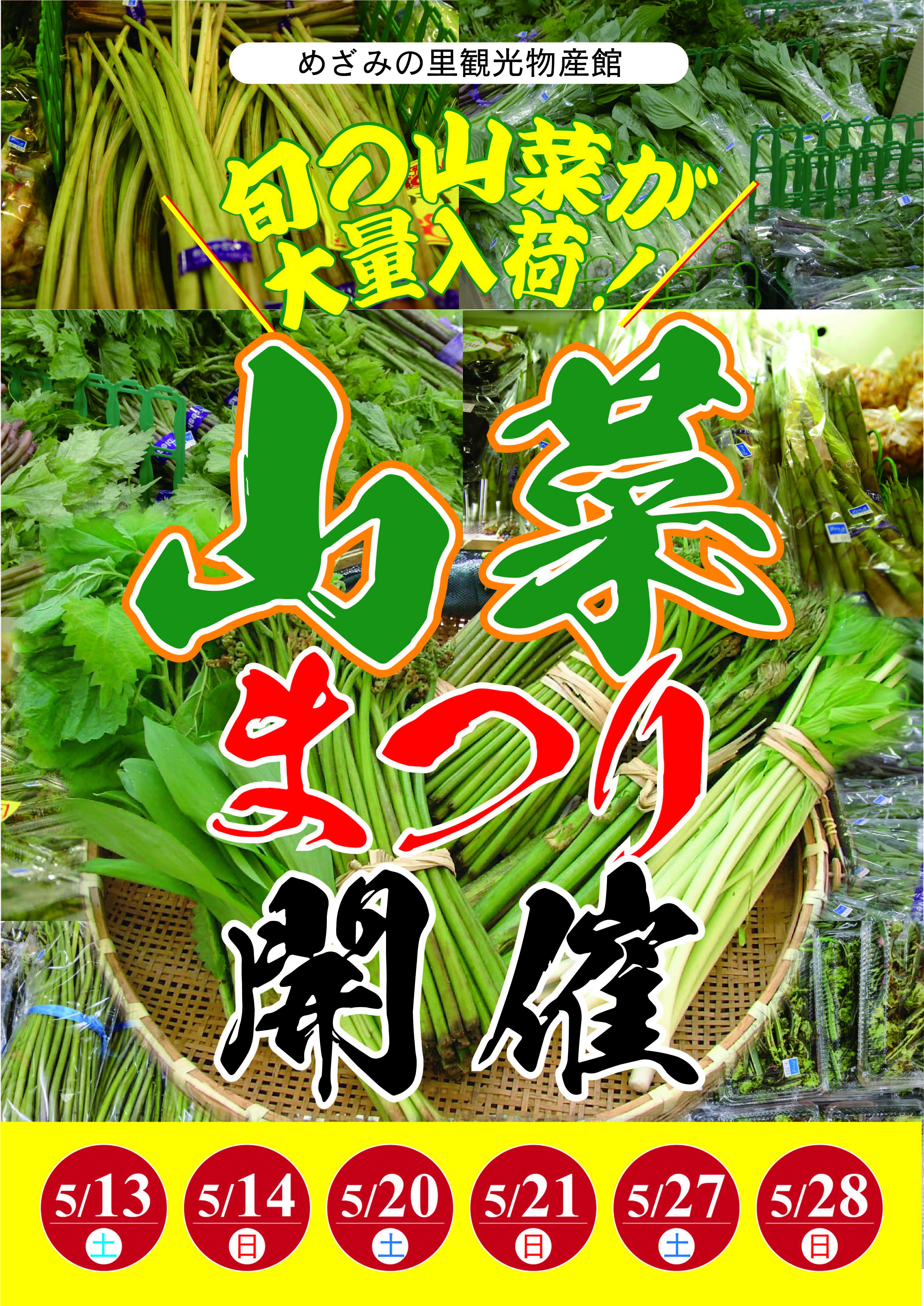 山菜まつり開催！