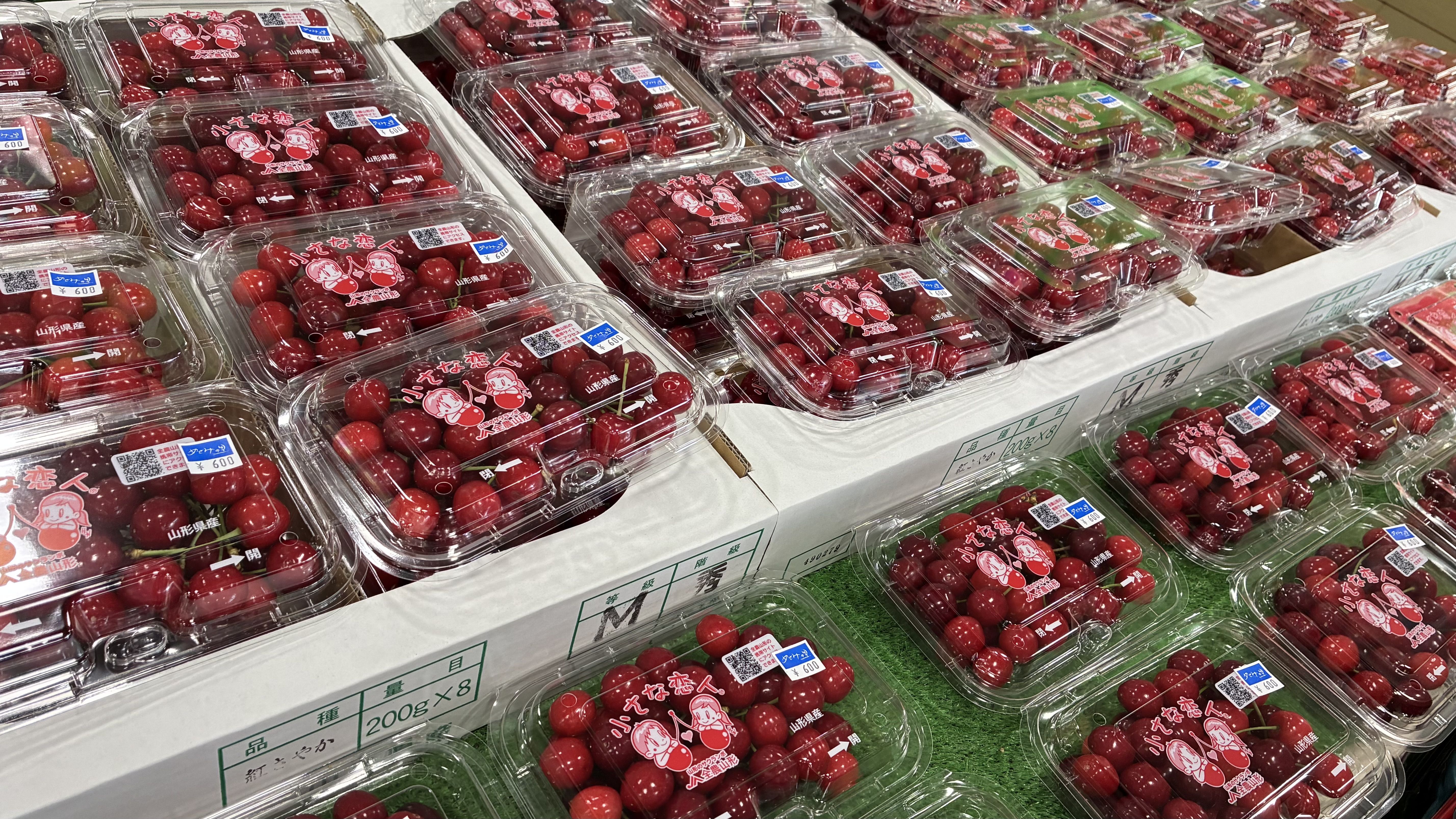 山形　さくらんぼ