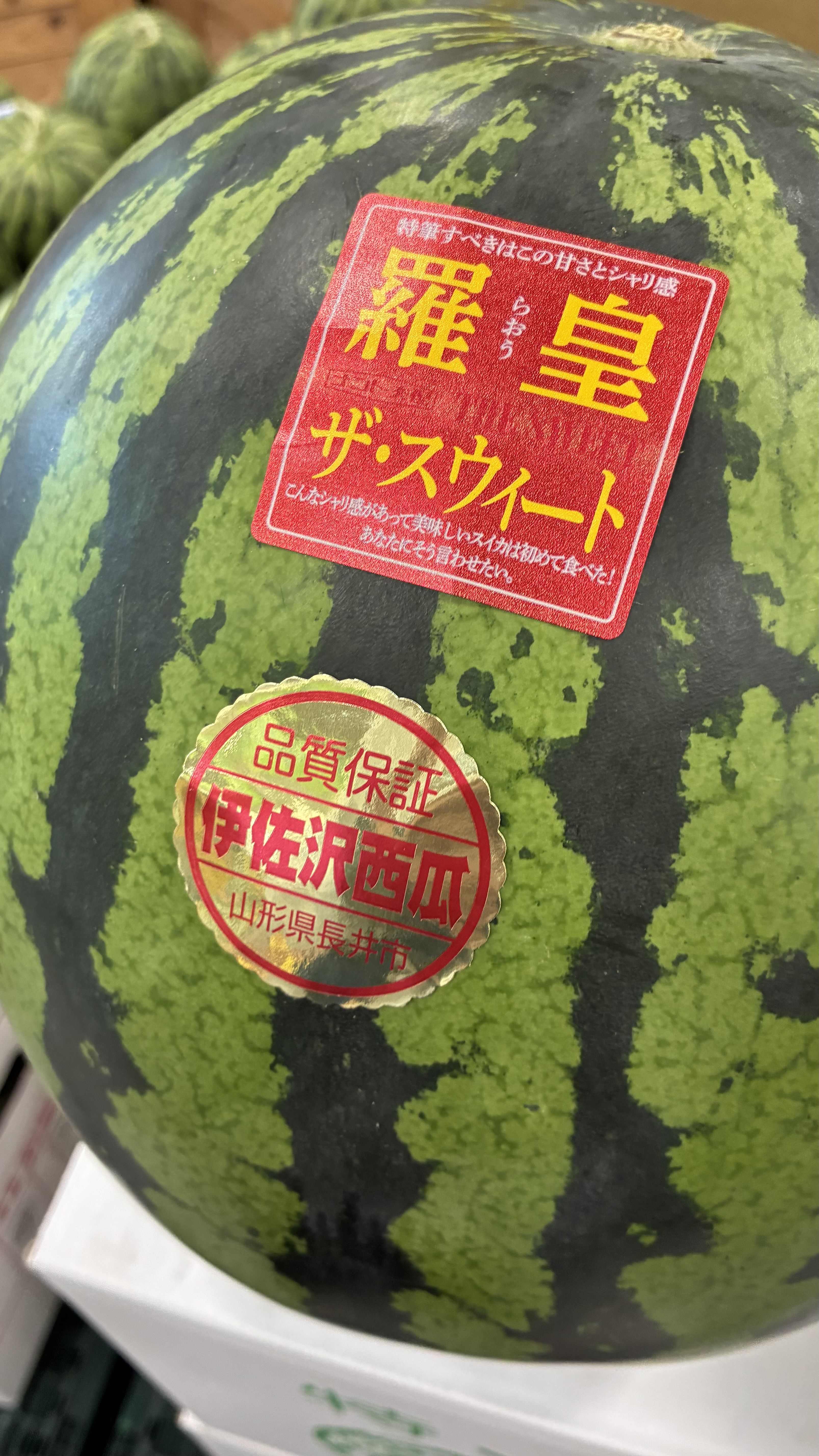 すいか　西瓜　スイカ　の季節になりました！