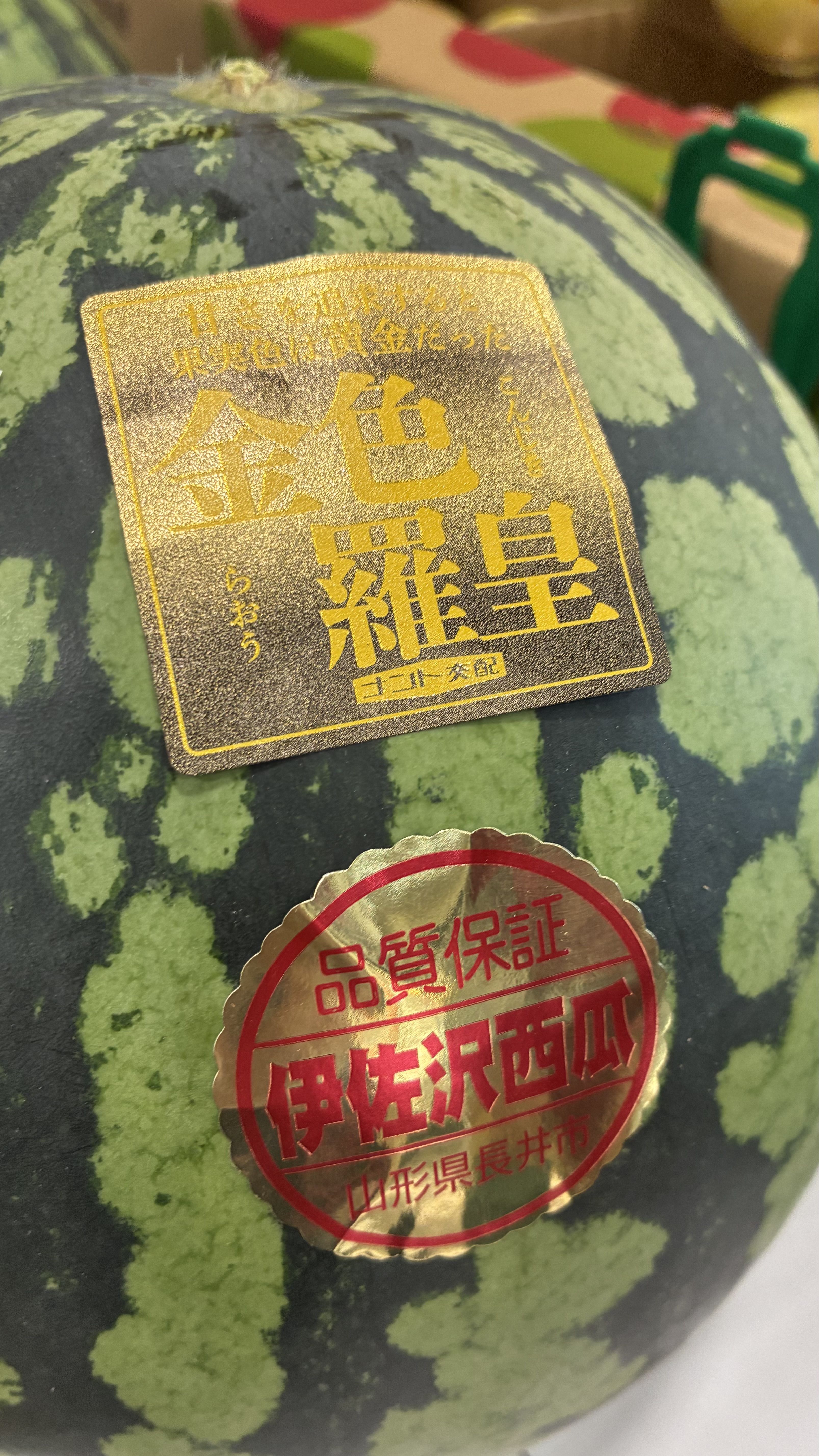 金色羅王！伊佐沢産！入荷しました！