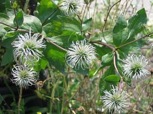 ◎美蔵の庭では・・・・・