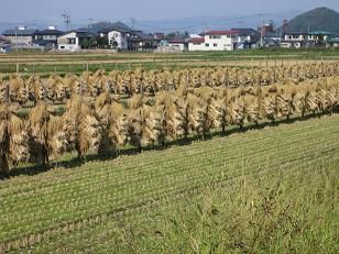 ★。★懐かしい風景・・・美蔵