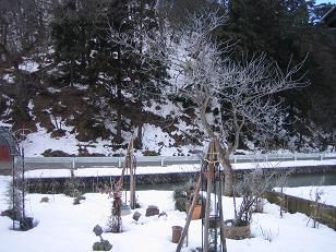 ★。★今年一番の寒さ・・・美蔵