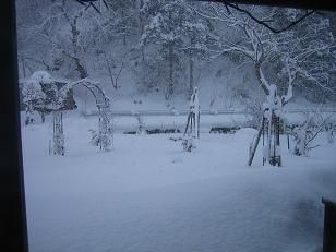 ★。★また・・・雪　美蔵