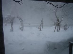 ★。★前が見えません・・・美蔵
