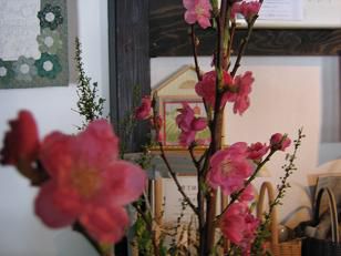 ★。★桃の花・・・美蔵