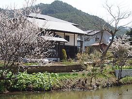 春爛漫・・・美蔵