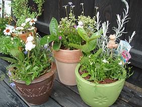 ★。★寄せ植え講習会終了！！美蔵