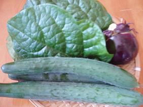 ★。★野菜の収穫・・・美蔵