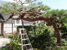 ★。★只今、散髪中・・・・・美蔵