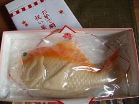 ★。★鯛が釣れました？・・・美蔵