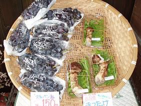 ★。★この連休だけのお買い得品・・・美蔵