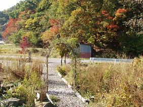 ★。★美蔵からの紅葉