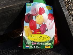 ★。★春がたのしみです！・・・美蔵