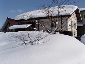 ★。★今日の美蔵